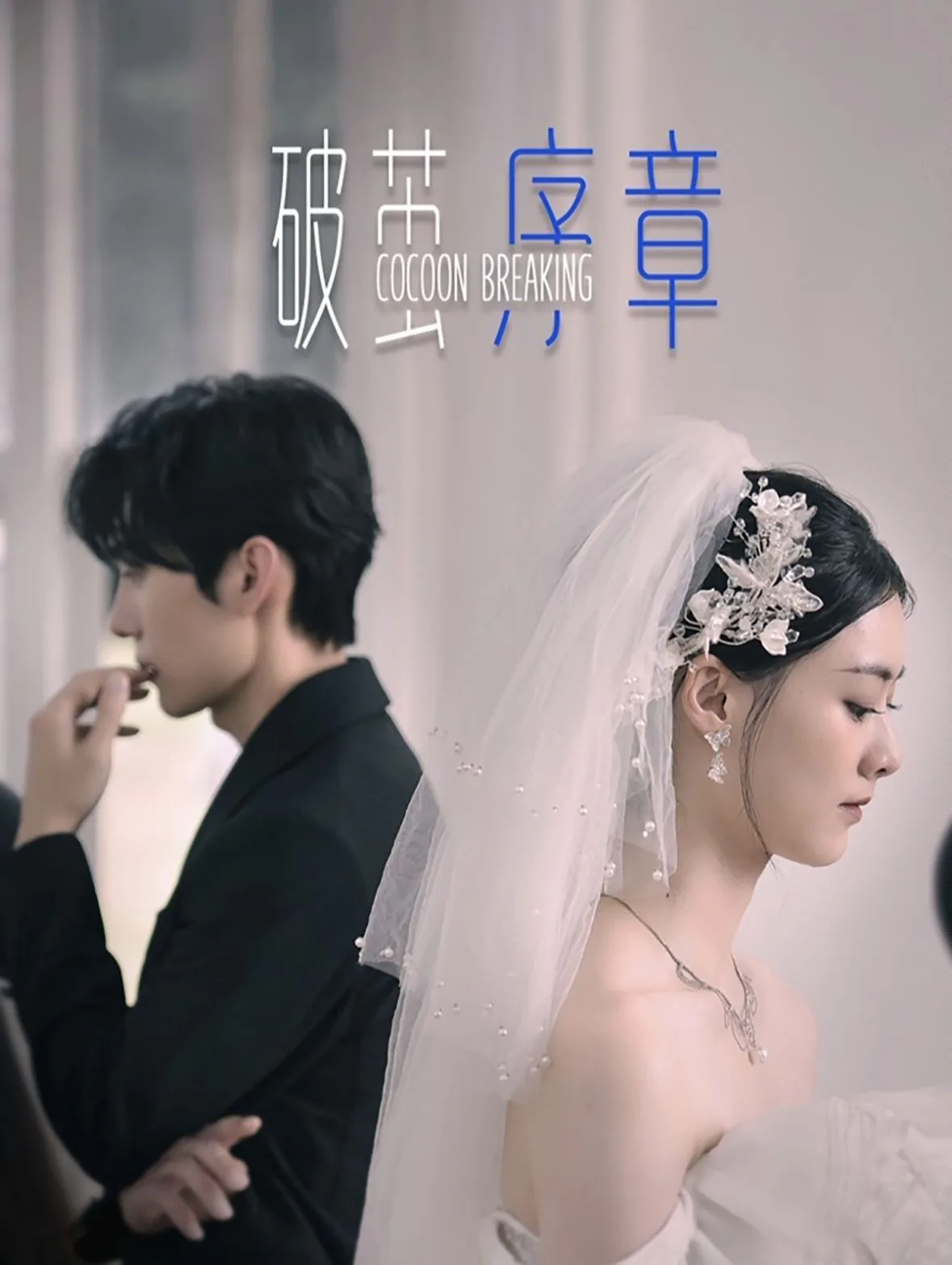破茧寻光
