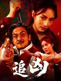 追凶实记