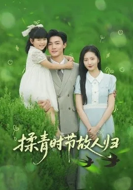 揉青时节故人归免费观看电视剧