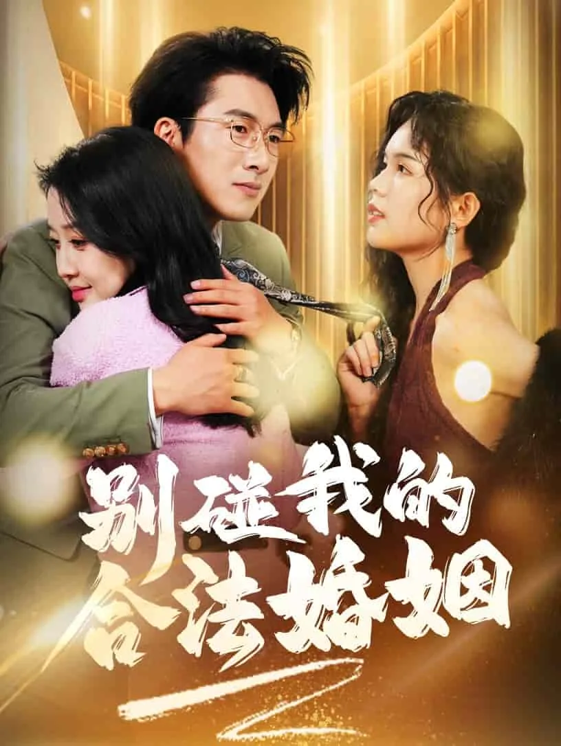 别碰我的合法婚姻小说阅读