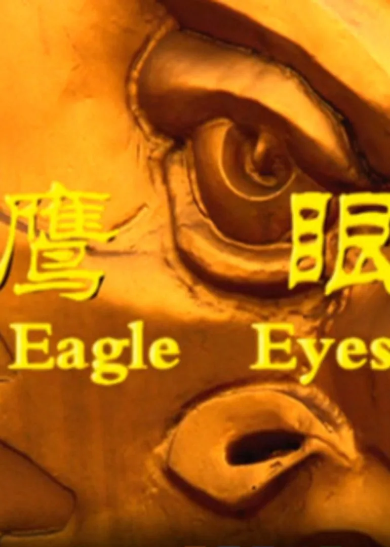 鹰眼2008