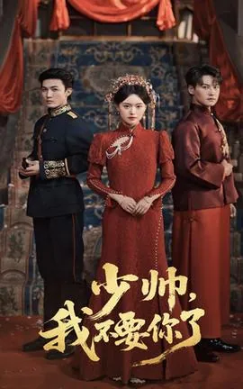 少帅我不要你了在线免费观看