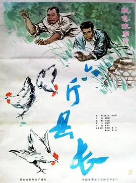 六斤县长电影免费观看
