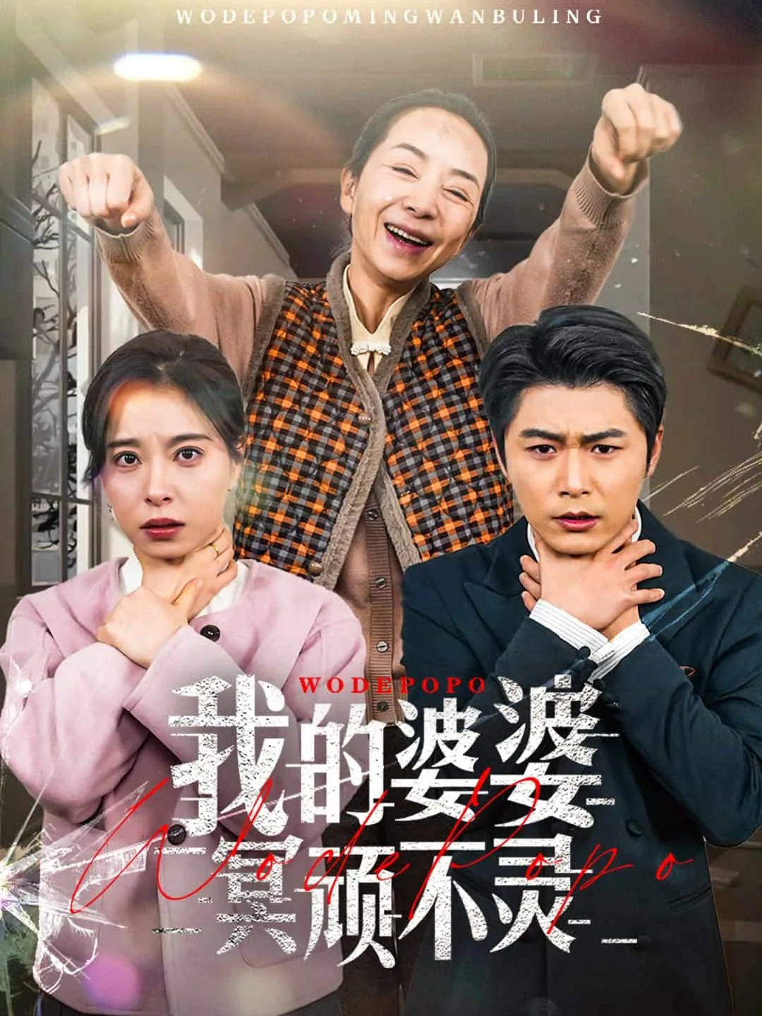 好心婆婆之事与愿违短剧免费