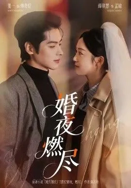 婚夜燃尽男主角叫什么