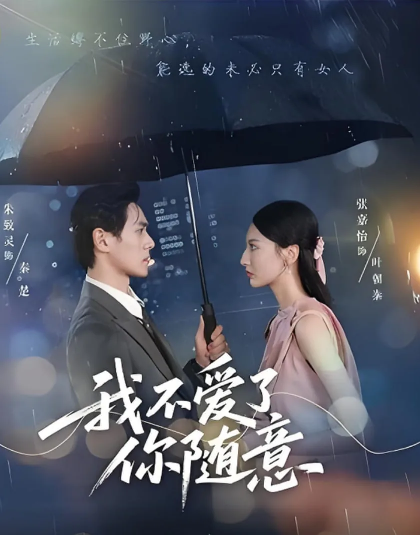我不爱了你随意电视剧在线观看