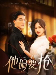 他偏要抢男主角是谁
