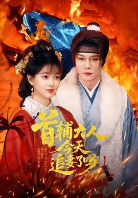 首辅大人今天追妻了吗好看吗?