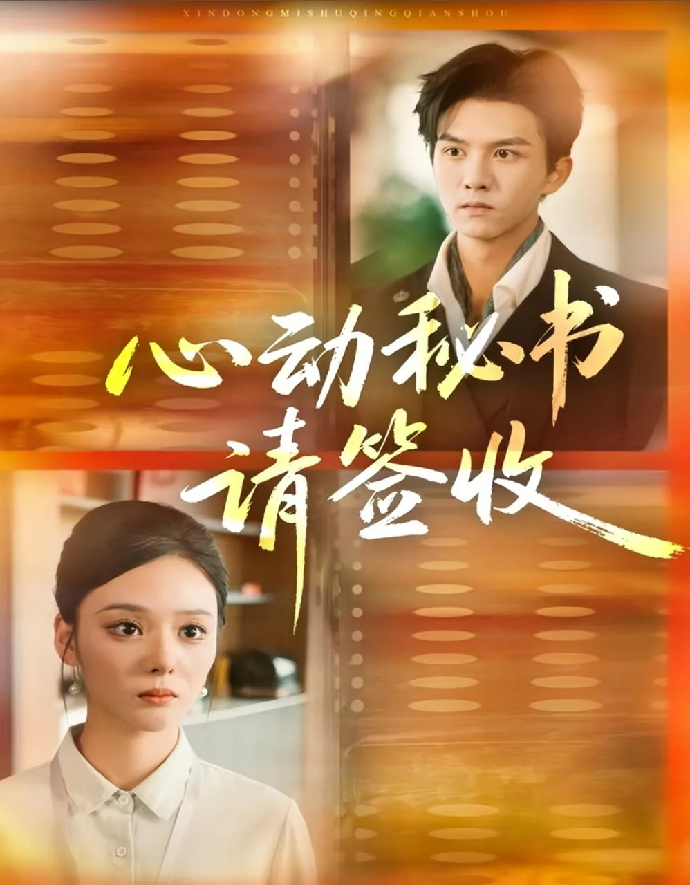 心动的秘密 小说
