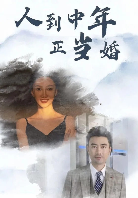 人到中年的结局