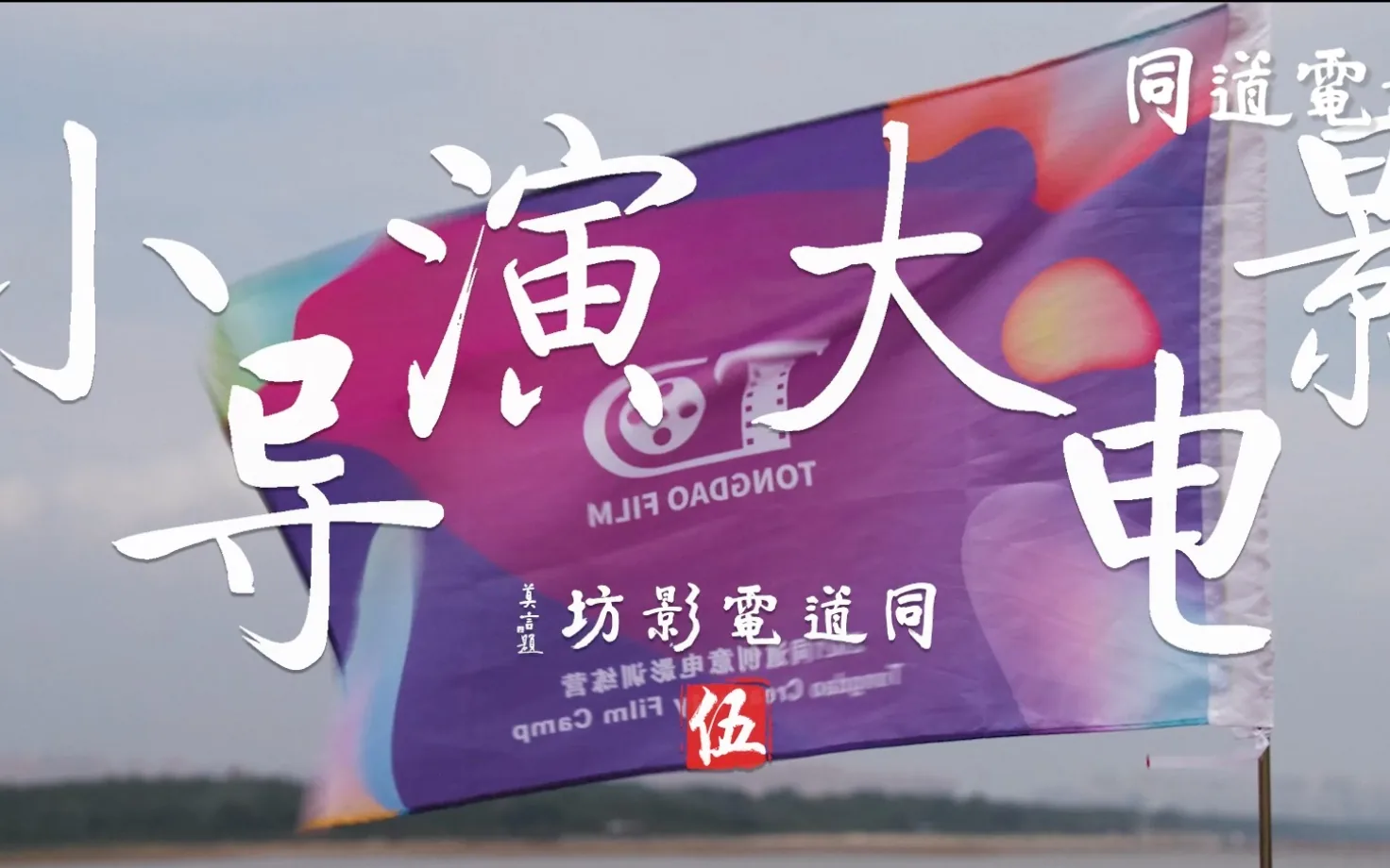 小导演小说