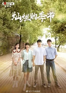 灿烂的季节电视剧