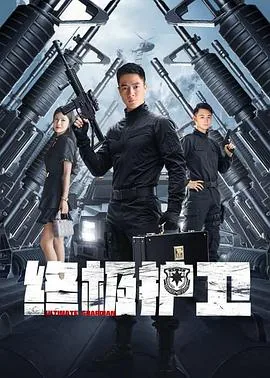 终极护卫全集免费播放