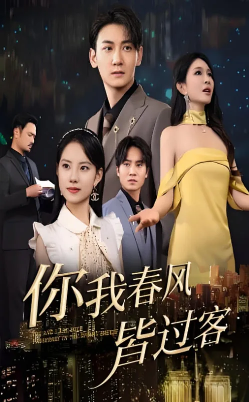 你我春风皆过客不如携手揽星河