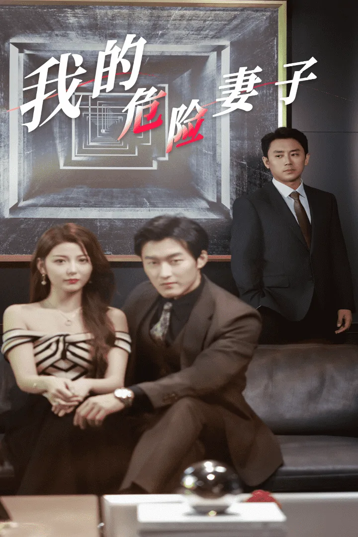 我的危险妻子日剧全集免费观看