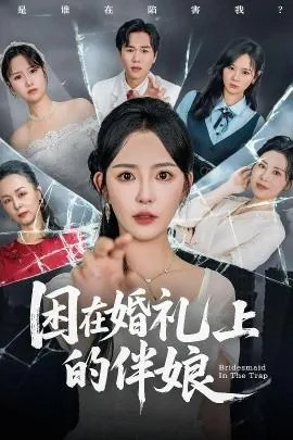 困在婚礼上的伴娘剧情