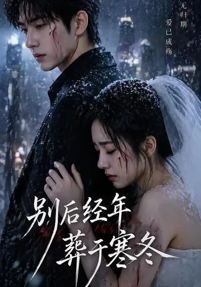 别后经年葬于寒冬什么意思