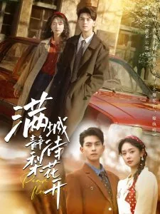 满城静待梨花开短剧男主