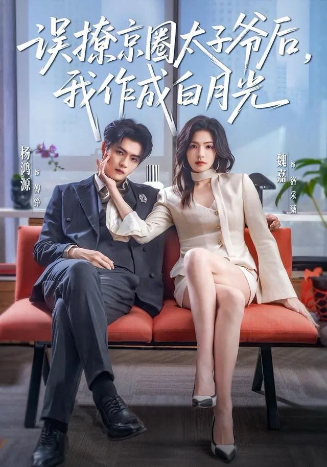 误撩京圈太子爷后,我作成白月光短剧在线观看