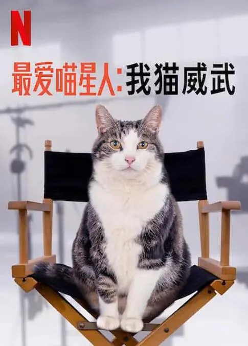 最爱喵星人:我猫威武小说