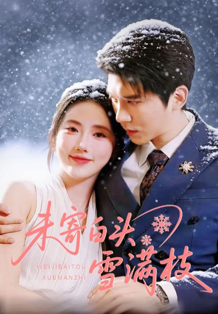 未寄白头雪满枝全集哪里看