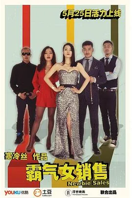 霸气女销售 电视剧