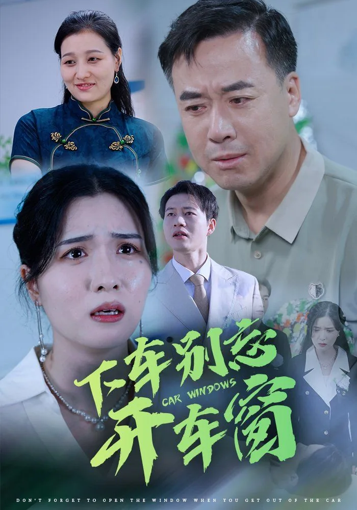 下车别忘开车窗电视剧