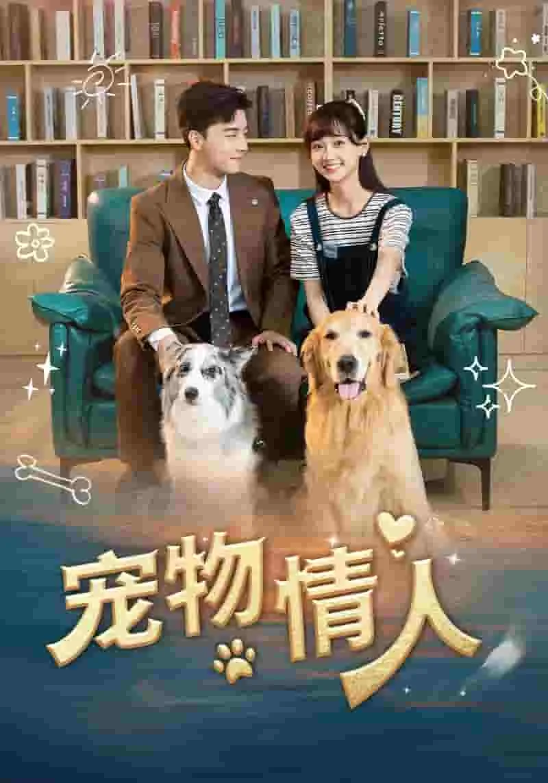 宠物情人免费观看