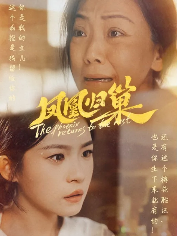 凤凰归巢女主角是谁扮演的