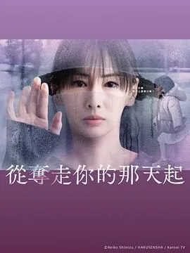 从夺走你的那天起一共多少集