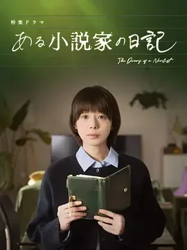 某小说家的日记 电视剧在线观看