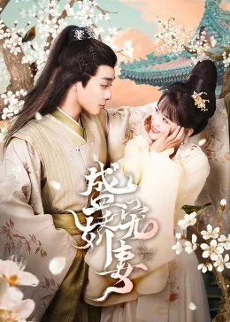 盛宠娇妻完整版