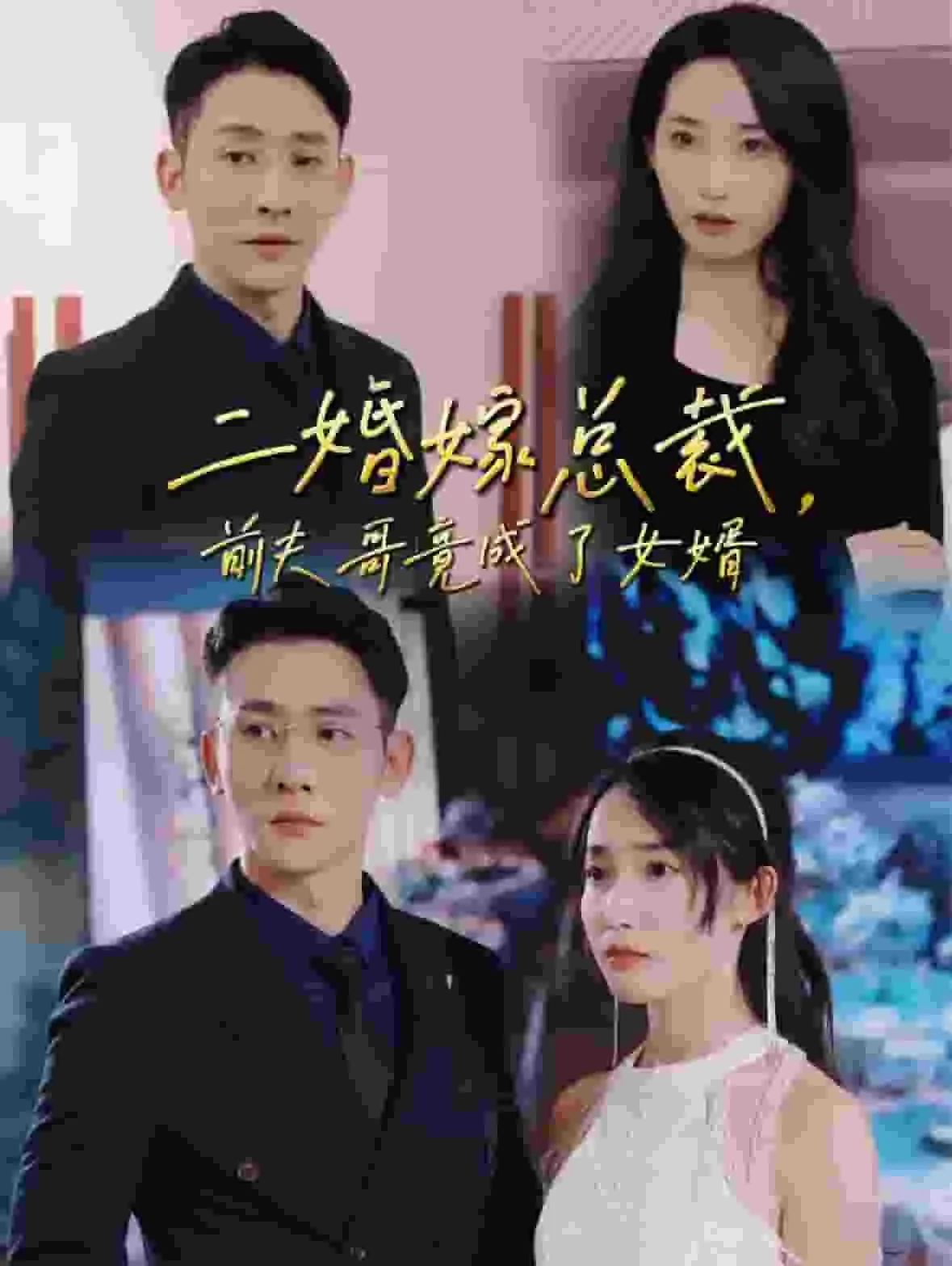 二婚嫁总裁前夫哥竟成了女婿后来死了