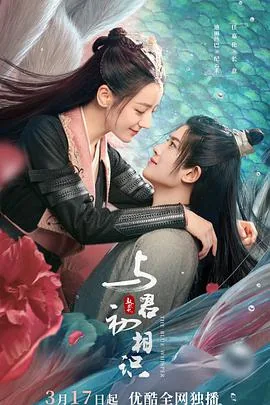 与君初相识恰似故人归电视剧