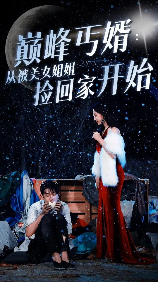 巅峰丐婿从被美女姐姐捡回家开始 短剧
