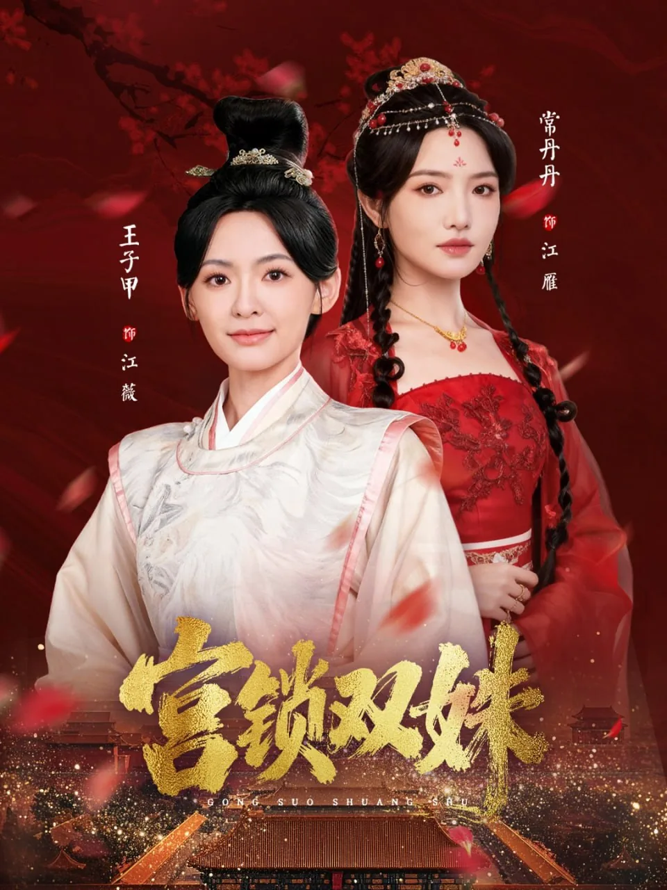 宫锁珠帘双胞胎