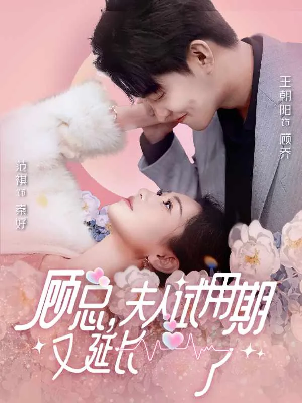 顾总夫人的试用期又延长了完整版