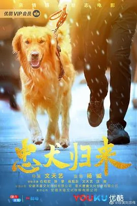 忠犬归来福满门短剧16集全