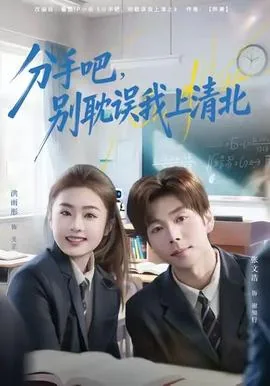 分手吧,别耽误我上清北TXT下载