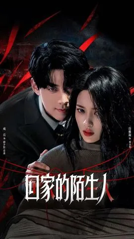 回家的陌生人免费观看