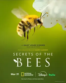 蜜蜂的秘密生活在线观看免费