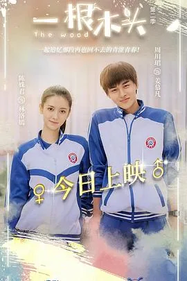 一根木头第二季结局什么意思