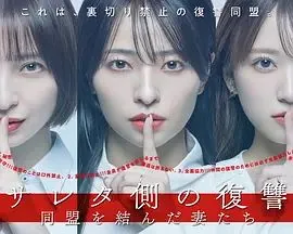 被出轨方的复仇结成同盟的妻子们~日剧