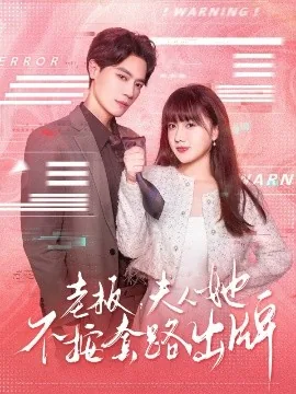 老板夫人她不按套路出牌演员表