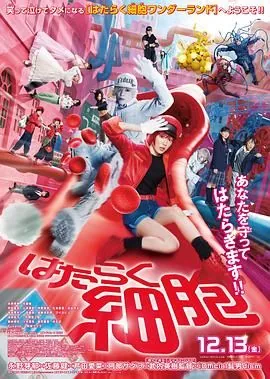 工作细胞 真人版 电影 在线观看