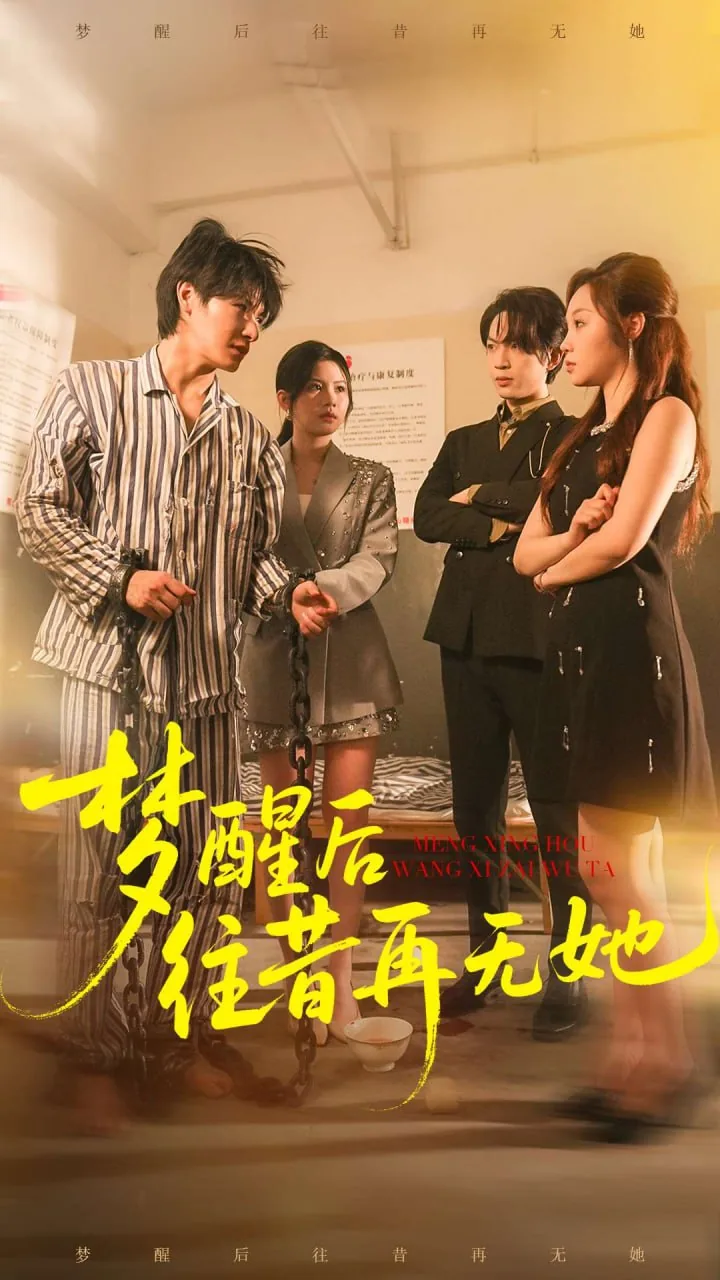梦醒后往昔再无她短剧在线观看