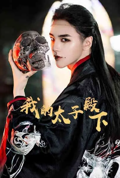 我的太子殿下一共几部