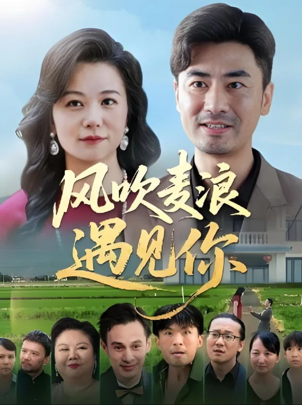风吹麦浪遇见你爆火短剧