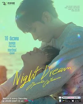 夜梦半生小说