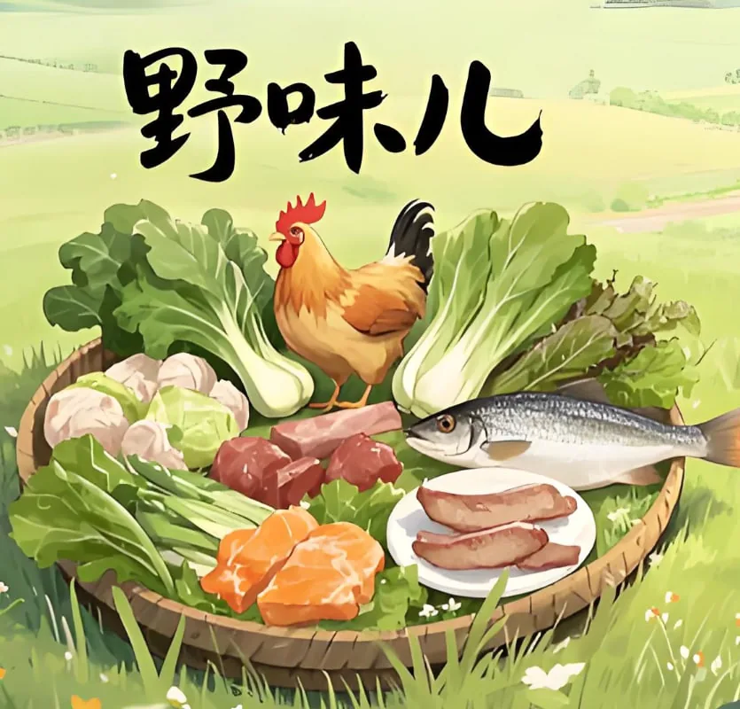 野味儿大全